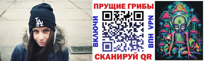 Псилоцибиновые грибы ЛСД kraken ссылки нарко площадка клад Ленинградская